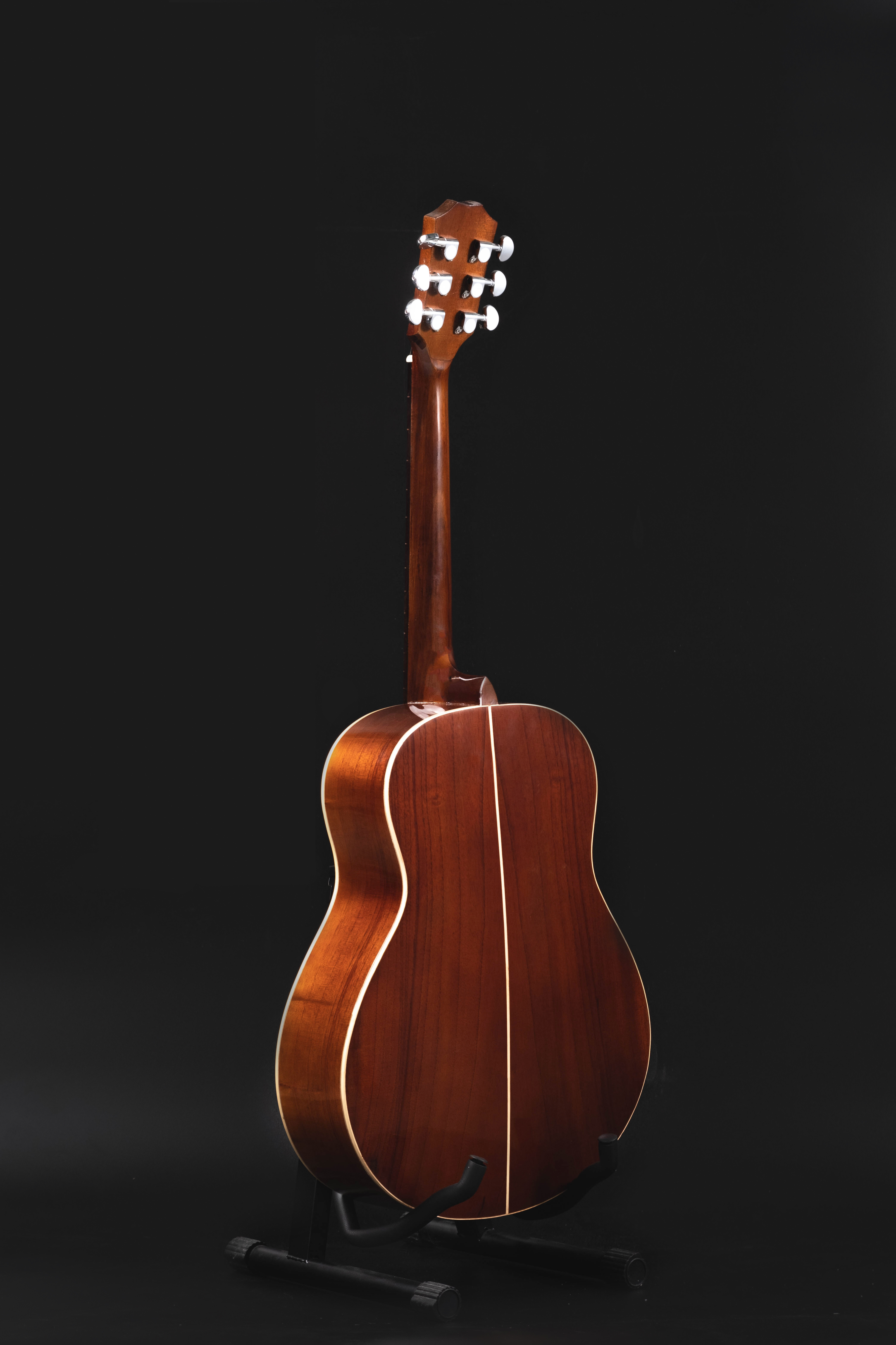 Guitar Acoustic HD-Mini