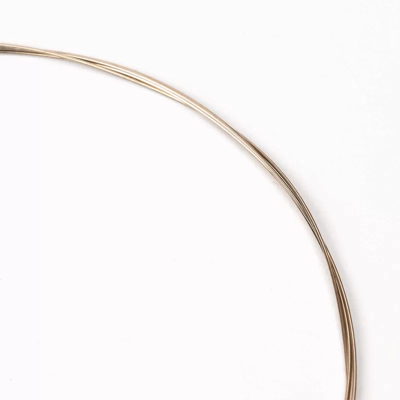 Acoustic String Alice A408