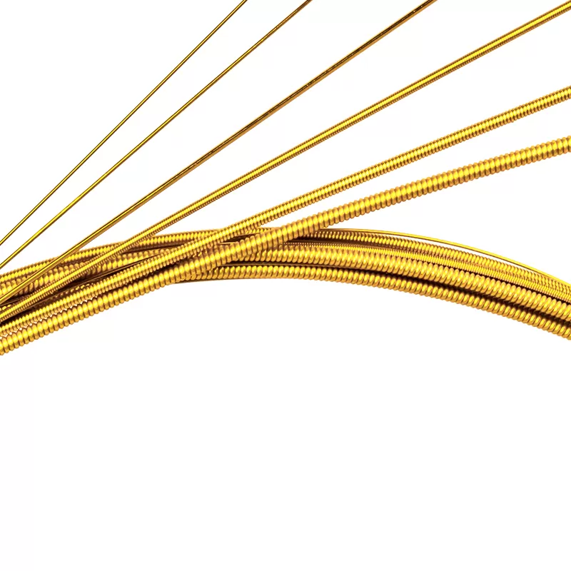 Acoustic String Alice AW49J