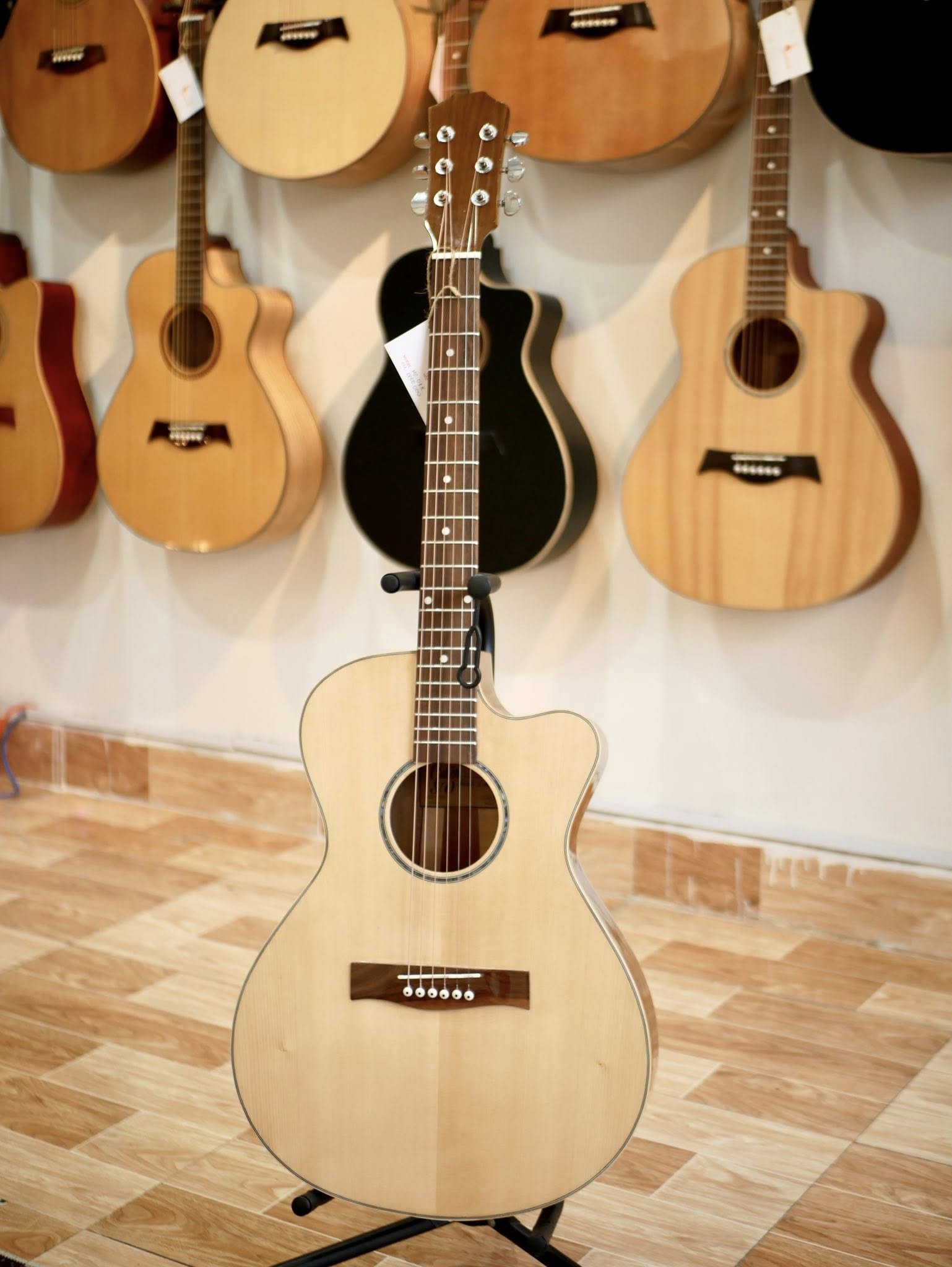 Guitar Acoustic HD-01K